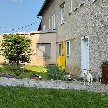 Apartment Cuco Privat *